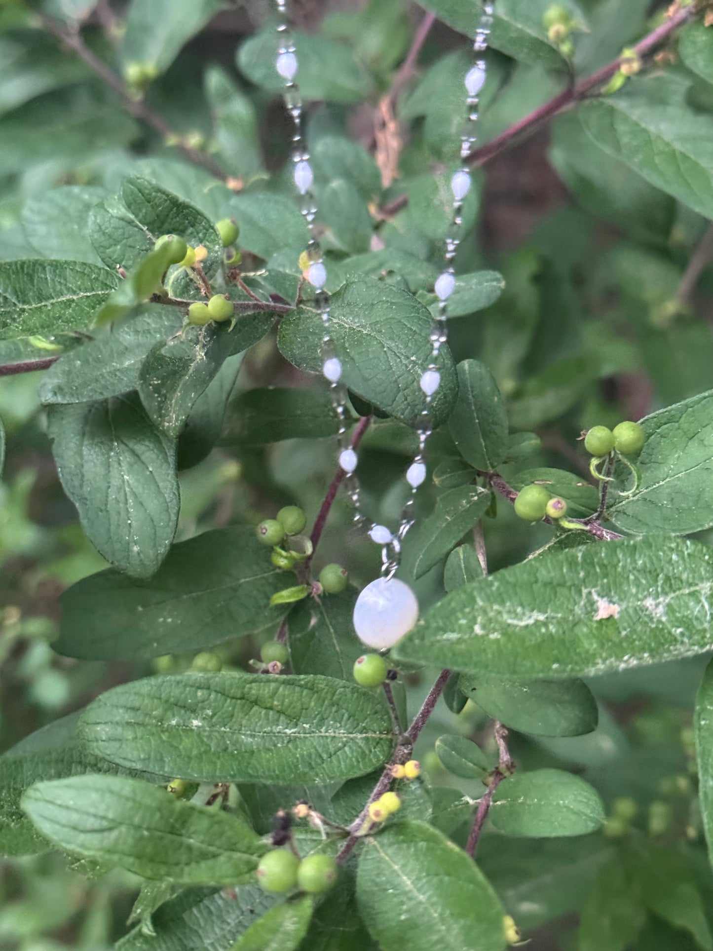 Freshwater Pearl on White Accented Sterling Chain